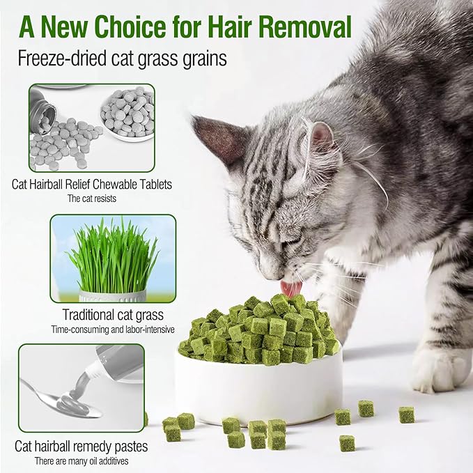 60g/2.12oz Cat Grass Teething Toy Hairballs,Chew Treats for Cats,Edible Cat Chew Toys,Natural for Cats,Teeth Cleaning and Hairball Removal