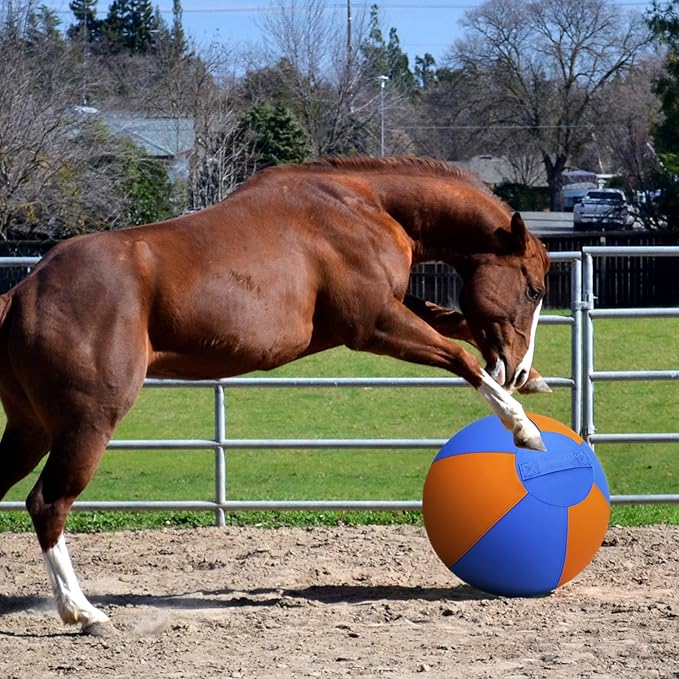 Herding Ball for Dogs and Horses - 25" Jolly Ball for Dogs, Agility Training Equipment, Herding for Australian/German Shepherd, Improved Bite-Resistant, Reinforced Sewing Dog Toys - Blue&Orange(New