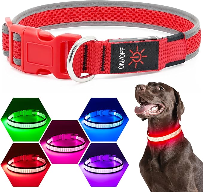 LED Dog Collar, Light Up Dog Collar USB Rechargeable, Brightest Dog Lights for Night Walking, Adjustable Dog Collar Light for Dog Safety (Medium, Ruby Red)