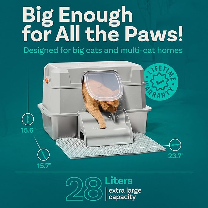 Stainless Steel Cat Litter Box with Lid - XL 3-in-1 Design for Indoor Cats - Stainless Steel Litter Box - Maximum Privacy and Odor Control for Indoor Cats - Green