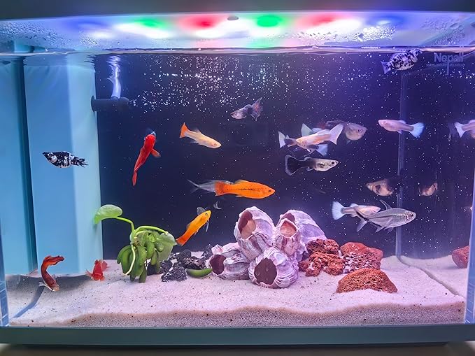 Large Purple Barnacles Clusters, Aquarium Decor with Purple Coral for Fish Tank