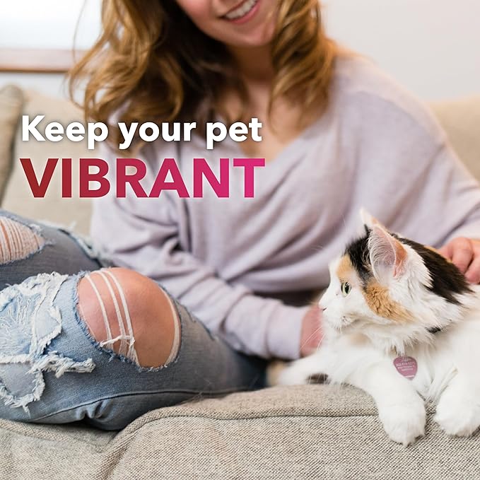 InClover Heart+ Dog and Cat Cardiac Health Supplement - Taurine Supplement for Dogs and Cats - Supports Heart & Immune Health, Pet Supplement for Weight Management & Senior Pet Health