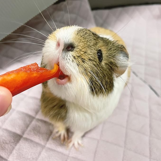 GuineaDad Premium Liner – Fleece Guinea Pig Cage Liner – Ultra-Plush Reusable Fleece Bedding with Waterproof Bottom – Extra Absorbent Liner for 2x4 C&C Cage (Blush)