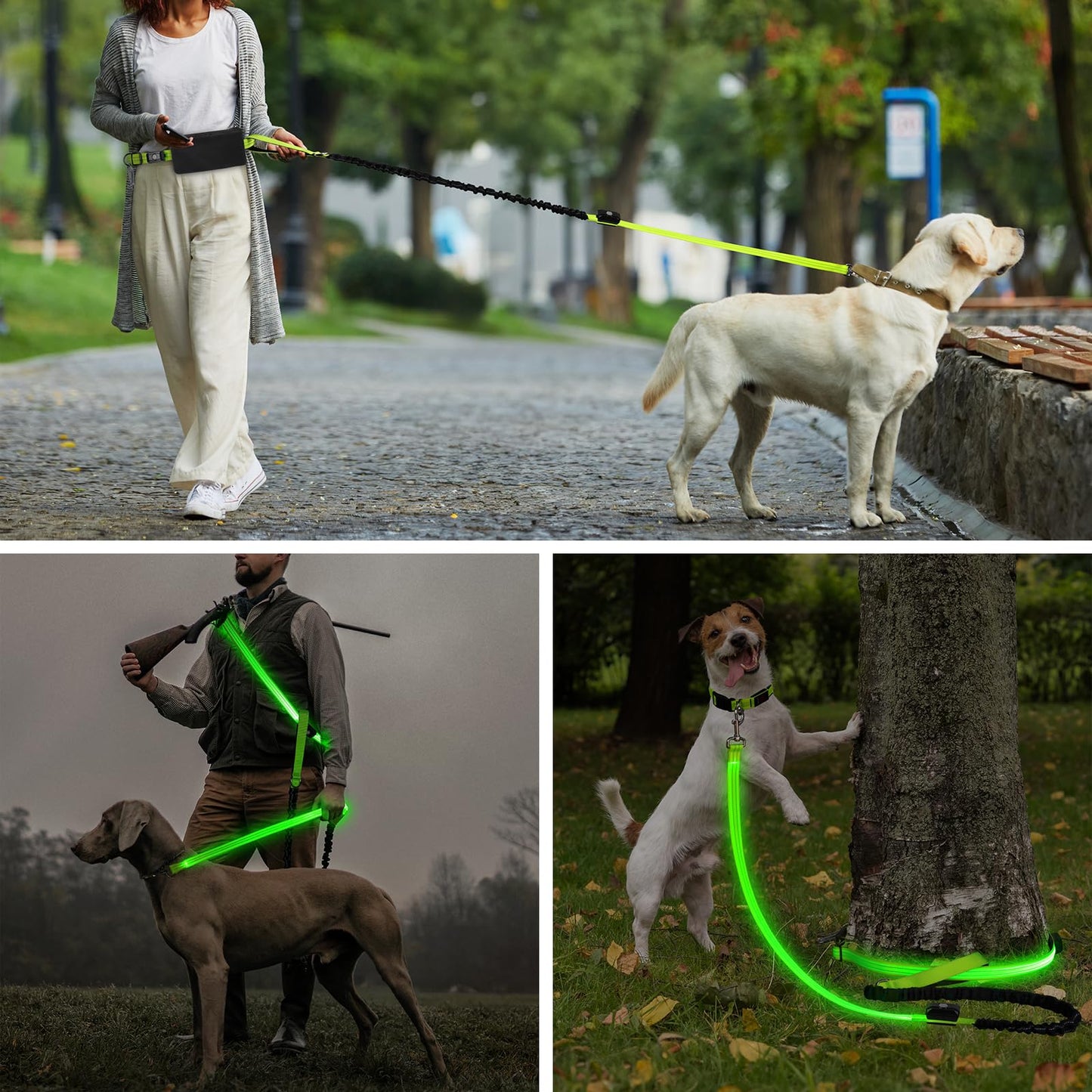 LED Hands Free Dog Leash, Waist Leash for Dog Walking, Retractable Bungee Light Up Dog Leash, LED Handless Dog Running Leash, Reflective Running Leash for Jogging Training Hiking (Green)
