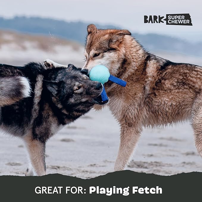 Barkbox Jelly Fetch Dog Toy for Medium Dogs – Perfect for Tug and Fetch Play, Durable Design with Strong Nylon Straps for Long-Lasting Fun