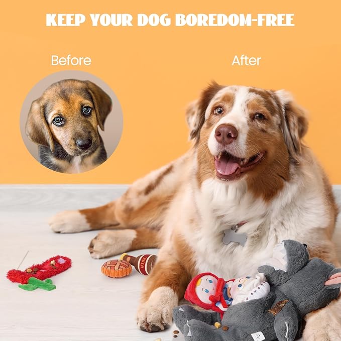 Nocciola Fairy Tale Squeaky Dog Toys, Cute Interactive Plush Stuffed Hide and Seek Cognitive Puzzle Puppy Crinkle Chew Toy for Small, Medium Breed