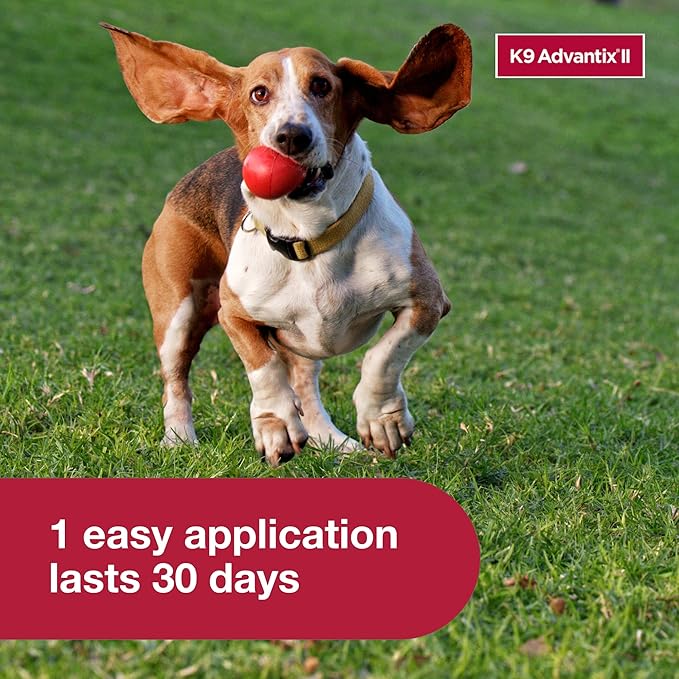 K9 Advantix II Medium Dog Vet-Recommended Flea, Tick & Mosquito Treatment & Prevention | Dogs 11-20 lbs. | 4-Mo Supply