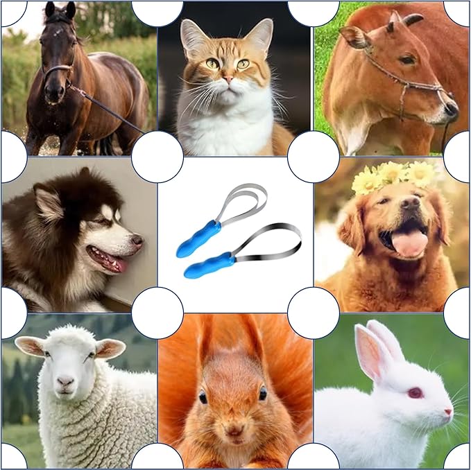 RQG Dual-Sided Shedding Blade,Grooming Blade,Animal Hair Brush with Stainless Steel Blade for All Dog/Cat/Horse/Cattle Coat Types- Short and Long Hair Coats- Soft Touch Grip (Single loop+double loops)