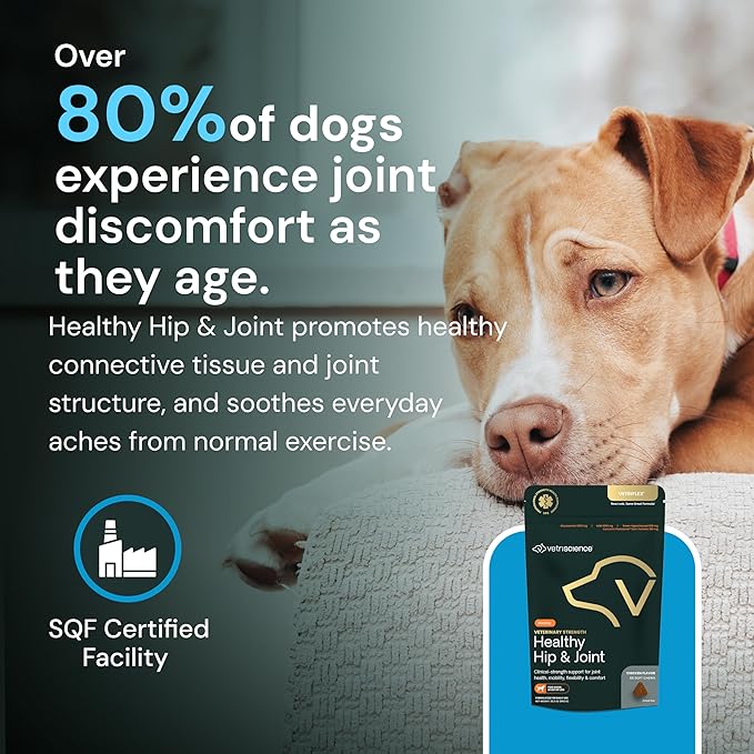 VetriScience Veterinary Strength Healthy Hip & Joint Chews - Joint Health Supplement for Dogs Over 60 Pounds - Supports Mobility & Flexibility in Large Dogs - 60 Count