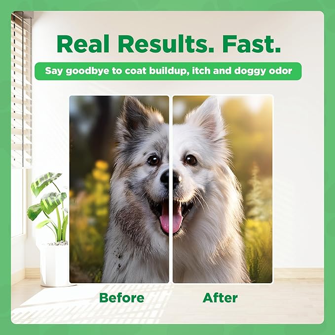 Dermafoam 16.9oz Chlorhexidine Shampoo for Allergies, Itching, Skin and Coat Supplement, Helps Shedding, Hot Spots, Paw Irritation, Rashes Deodorizing and Cleansing Dog Shampoo & Grooming Supplies