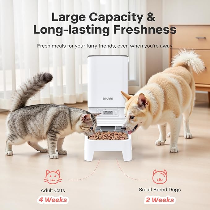 Automatic Cat Feeders, 7L/29 Cups Automatic Dog Feeder, Cat Food Dispenser, No-Jam Rotor, Up to 6 Meals for 2-15 mm Dry Food, with Elevated Stand, Stainless Steel Bowl