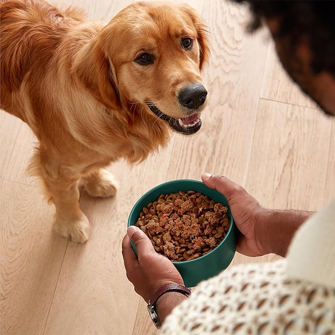 Jinx Premium Wet Dog Food Cans - Beef Pate - Grain-Free Canned Dog Food Pate & Topper with Real Ingredients & No Fillers - All Life Stages, Breeds & Sizes - 12-Pack, 13 Oz