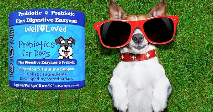 Probiotics for Dogs, Dog Probiotics, Made in USA, Vet Developed for Gut Health, Yeast Balance, Itchy Skin, Diarrhea & Gas Relief, Chews with Prebiotic & Digestive Enzymes, Digestive Support