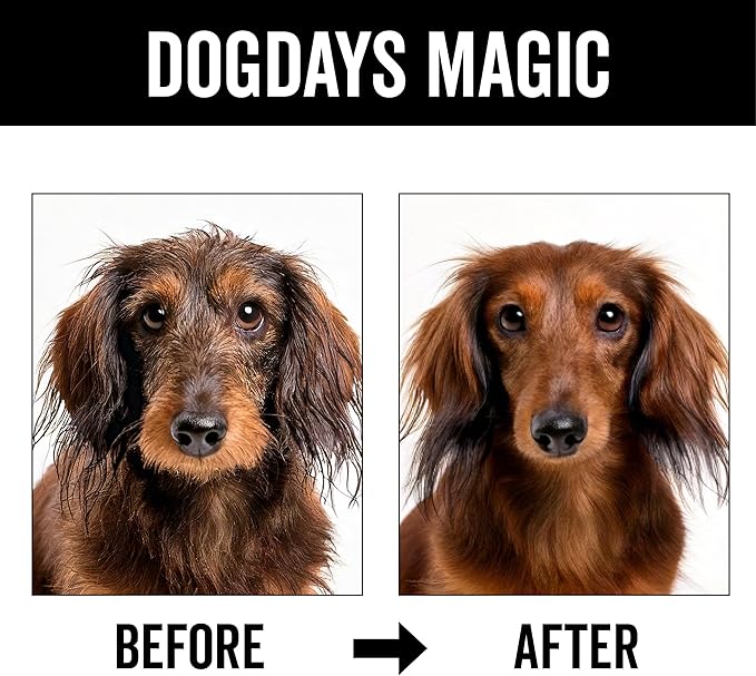 Pride and Groom DogDays No Rinse Quick Cleaning Shampoo | Waterless Foaming Dry Shampoo for Dogs & Cats | Odor-Eliminating, Hypoallergenic Pet Cleanser | 8 fl oz | Made in USA