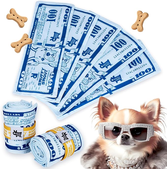 Race&Herd Dog Puzzle Toy - Snuffle Mat for Dogs Puzzle Feeder, Dog Enrichment Toys for Dogs, Interactive Pet Enrichment Toys Small Dogs, Puppy Mental Stimulation Puzzle Toy, Snuffle Money for Puppies