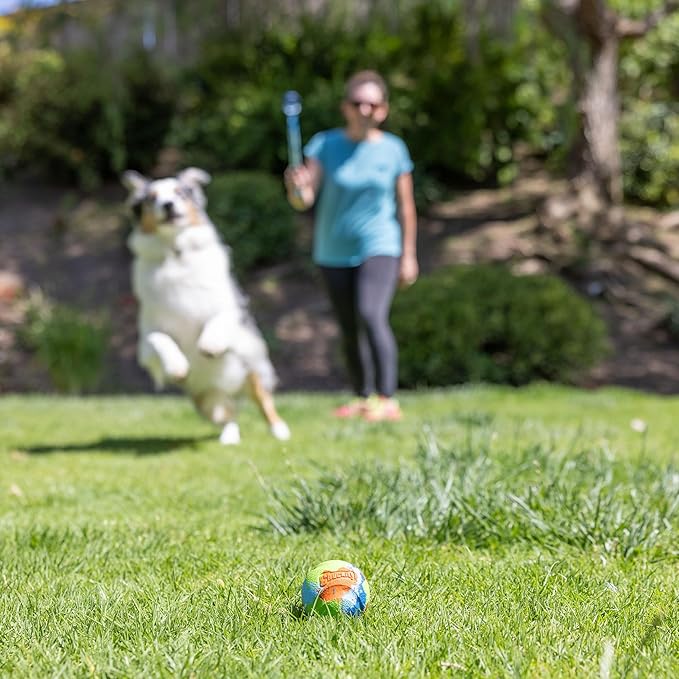 Chuckit! Limited Edition EcoFetch Ball Dog Toy, Medium (2.5 Inch Diameter) Pack of 3, for Breeds 20-60 lbs