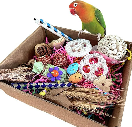 Large Bird Foraging Toy - Natural Shreddable Chew Toys Box for Conures, Cockatiels, Lovebirds & Budgies | Enrichment Activity with Colorful Textures (for Small-Medium Birds)