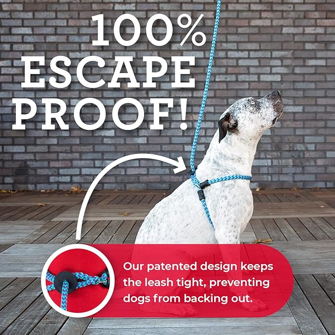 Harness Lead No Pull Dog Harness and Leash Set, Anti Pull Dog Harness for All Breeds and Sizes, One-Piece Cushioned Rope Design Safely Prevents Escaping and Pulling (Small/Medium, Black/Reflective)