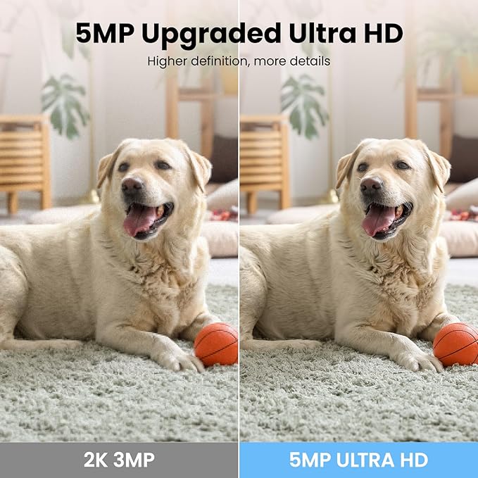 wansview Security Camera, IP Camera, WiFi Home Indoor Camera for Baby/Pet/Nanny, 2 Way Audio Night Vision, Compatible with Alexa, with TF Card Slot and Cloud, Q5 (White, 5MP)