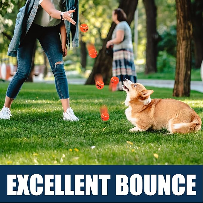 AMA SPORT Tennis Balls for Dogs 12 Pack 2.5" Orange Dog Tennis Balls for Puppy Small Medium Dog Toys, Designed for Dogs Floating, Water-Hunting, Fetch, Fun Playing, Daily Exercise, Mid-air Catching