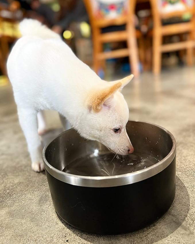 IKITCHEN Dog Bowl for Food and Water, 64 Oz Stainless Steel Pet Feeding Bowl, Durable Non-Skid Double Wall Insulated Heavy Duty with Rubber Bottom for Medium Large Sized Dogs (64 Ounces/8 Cup, Black)