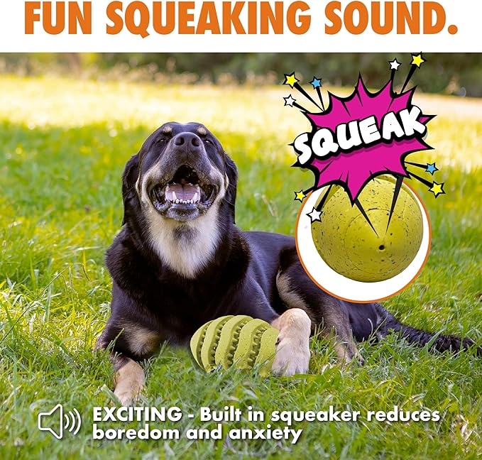 Max Fusion with Nike Grind, Arlee Spiro Football Treat Dispensing Dog Toy, Durable Dog Treat Toy, XL