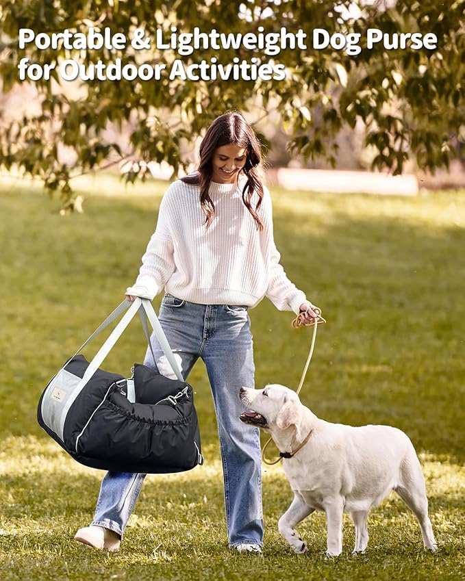 Dog Car Seat for Dogs - Waterproof Dog Booster Seat for Car with Storage Pockets, Clip-On Safety Leash and Soft Plush Cushion, Pet Travel Carrier Bed with Durable Belts up to 25 lbs (Grey, Medium)