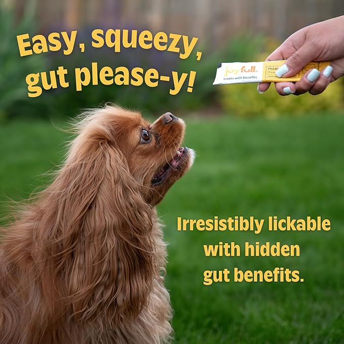 JoyFull Chicken Squeeze Treats for Dogs – Prebiotic Gut Health Snacks Made with Real Cage-Free Chicken – Lickable, Enrichment-Friendly, Meal Topper – 24 Easy Squeeze Paste Treats (0.5oz Each)