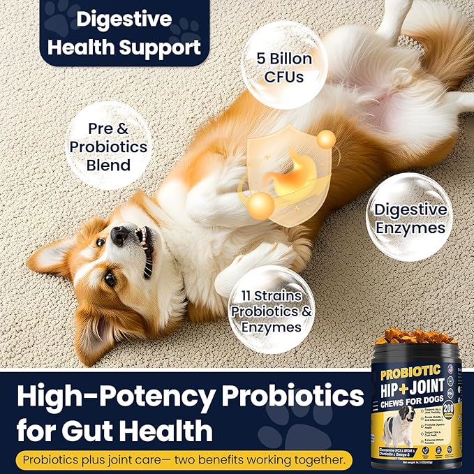 Hip and Joint Supplement for Dogs Dog Probiotics Glucosamine Chondroitin MSM Chew for Dog Arthritis Pain Relief Extend Joint Care, Probiotic for Digestive/Gut Health for Large/Small/Senior Breed Dogs