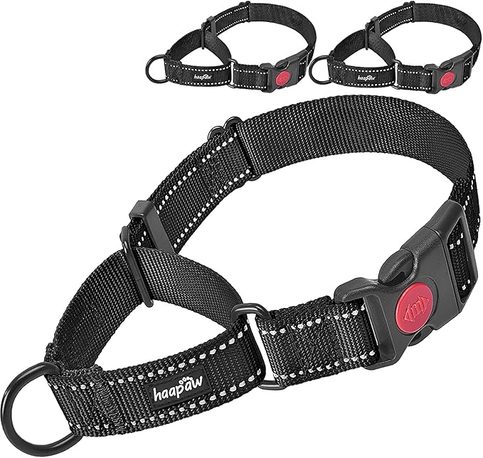 haapaw 2 Packs Martingale Dog Collar with Quick Release Buckle Reflective Dog Training Collars for Small Medium Large Dogs