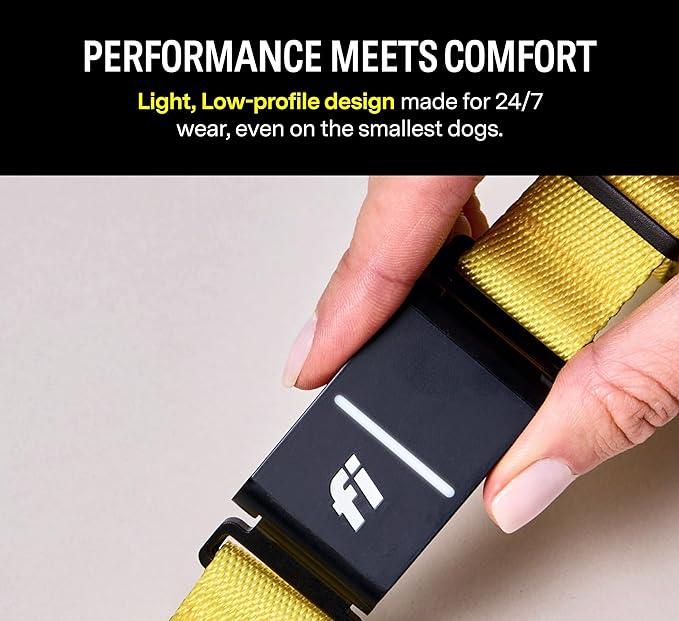 Fi Series 3 Smart Dog Collar - GPS Dog Tracker and Activity & Health Monitor, Waterproof, LED Light, Escape Alerts, Nationwide Coverage [Free 1 Year Membership] (Yellow, Large)