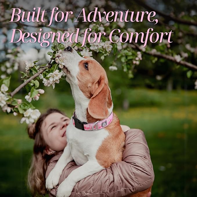 Girl Dog Collar, Pink Cute Cherry Pattern Adjustable Breathable Collar with Reflective Logo, Comfortable Padded Design Fits for Medium, Large Dogs, Neck Size 12’’-20’’ (Cherry, M)