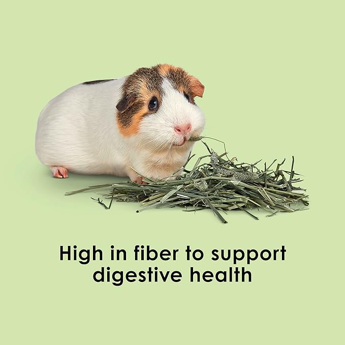 Kaytee All Natural Timothy Hay for Guinea Pigs, Rabbits & Other Small Animals, 6 Pound
