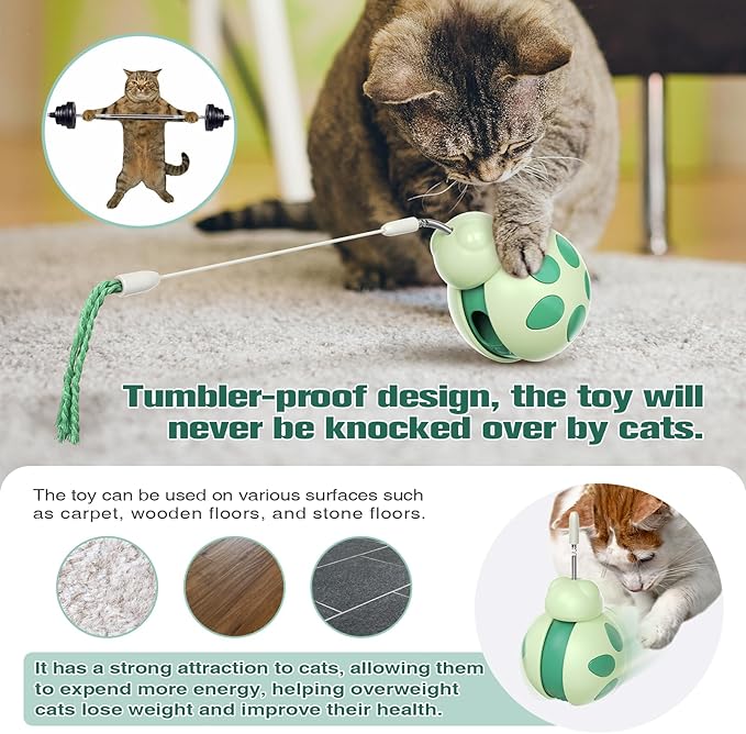 Cat Toys for Indoor Cats, Tumbler Rolling Cat Treat Dispenser with Teaser Wand, Cats Chase Toys for Nxiety Boredom Relie, Indoor Puzzle