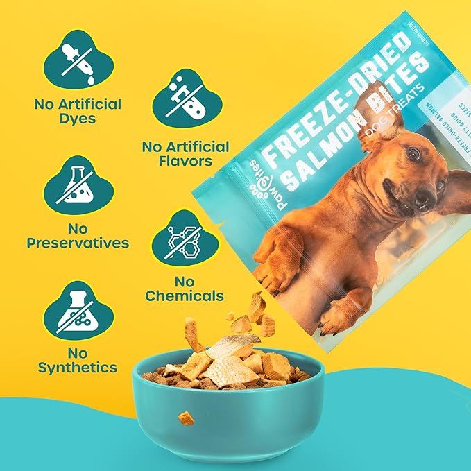 Freeze Dried Dog Treats - Wild Caught Salmon - Dog Food Dry Snacks - with Protein & Omega 3s - for All Breeds & Sizes - No Artificial Flavors & Dyes, No Preservatives - 1 Pouch, 4 oz