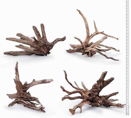 LANDEN Kueiyang Hornwood for Aquascaping, Aquarium Driftwood Decor, Natural Branches(12-14 inches, 30-35cm) 4pcs Terrariums Vivariums Reptile and Amphibian Enclosures Various Shapes