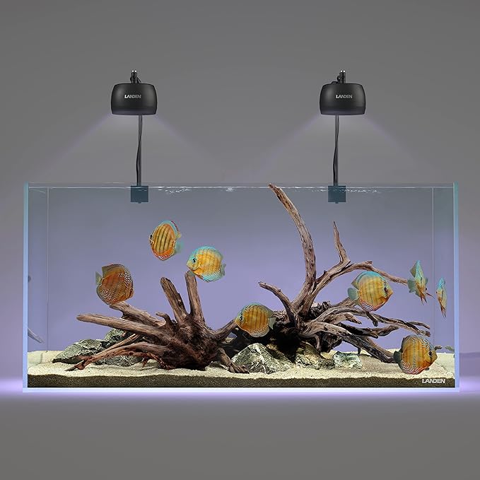 LANDEN Kueiyang Hornwood for Aquascaping, Aquarium Driftwood Decor, Natural Branches(12-14 inches, 30-35cm) 4pcs Terrariums Vivariums Reptile and Amphibian Enclosures Various Shapes