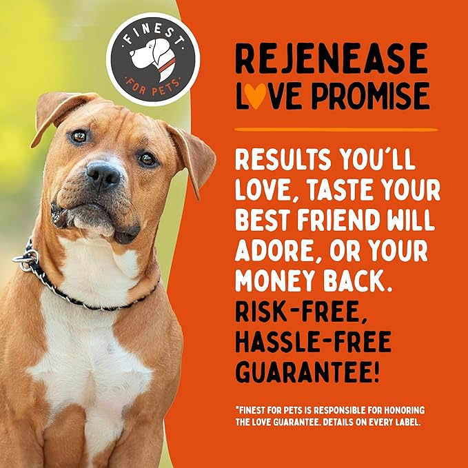 Rejenease Liquid Glucosamine for Dogs with Chondroitin, MSM & Hyaluronic Acid – Finest For Pets Hip & Joint Supplement for Dog Joint Support, Mobility, Stiffness & Pain Relief (32 oz, Made in USA)