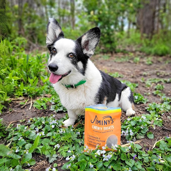Jiminy's Chewy Cricket Training Treats for Dogs, Low Calorie, Hypoallergenic, Made in USA, 6oz, Pumpkin & Carrot (Pack of 3)