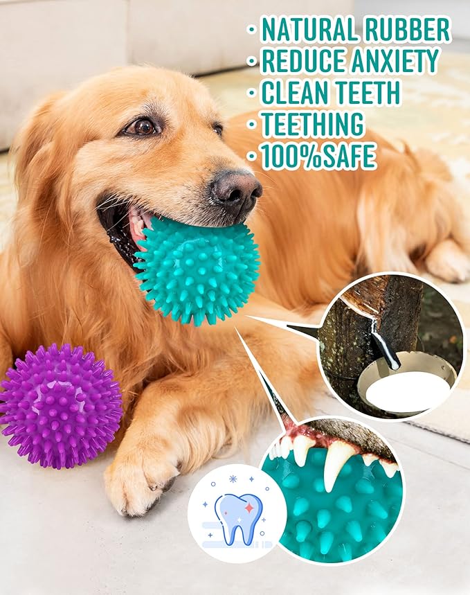 2 Pack 4.5” Heavy Duty Squeaky Dog Ball for Medium Large Dogs, Spikey Dog Ball Toys for Clean Teeth and Training, Large Dog Toys for Aggressive Chewers…