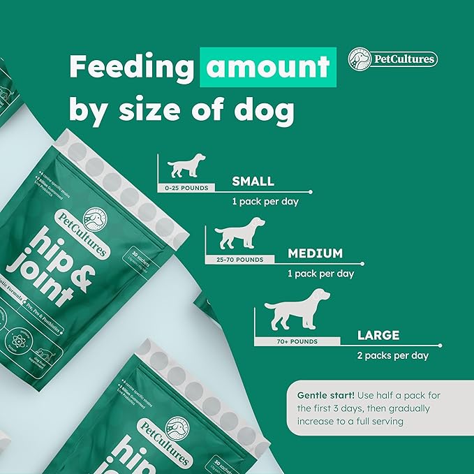 Hip and Joint Synbiotic Formula - 600mg Glucosamine, Chondroitin, MSM, and Probiotics in 30 Packs