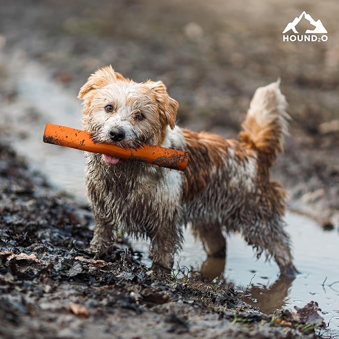 Playology Hound2O Outdoor Dog Toys | Treater Toy Fetch Stick for Dogs | Bright Orange Durable Toy Chew Stick | Easy to Clean & Made from Non-Toxic Materials