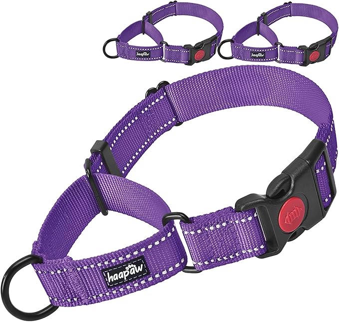 haapaw 2 Packs Martingale Dog Collar with Quick Release Buckle Reflective Dog Training Collars for Small Medium Large Dogs (Small, Purple/Purple)