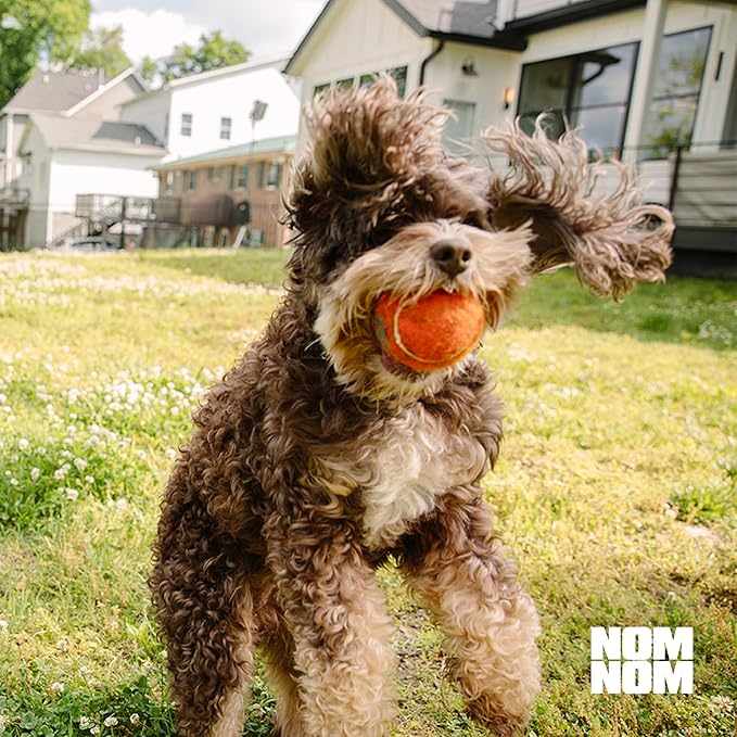 Nom Nom Dog GI-Targeted Probiotic Support - with Prebiotic Fiber, Inulin, and Saccharomyces boulardii - Gut Health Dog Probiotics for Gastrointestinal and Stomach Relief (GI Powder)