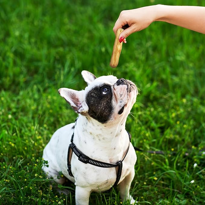 Wildfang® Coffee Wood Dog Chew, Small - Tough Chew Toys for Aggressive Chewers, Dog Teething Toys for Puppies, Training for Chewing Muscles, Coffee Tree Sticks for Small Dogs (22-33 lbs), Pack of 3