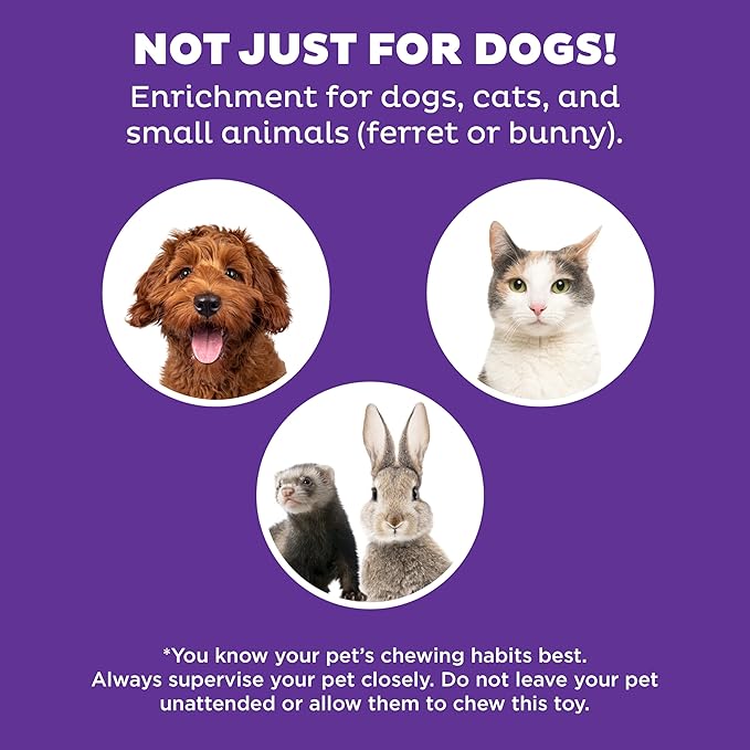 Outward Hound by Nina Ottosson Puppy Hide N' Slide Treat Puzzle Enrichment Dog Toy, Green