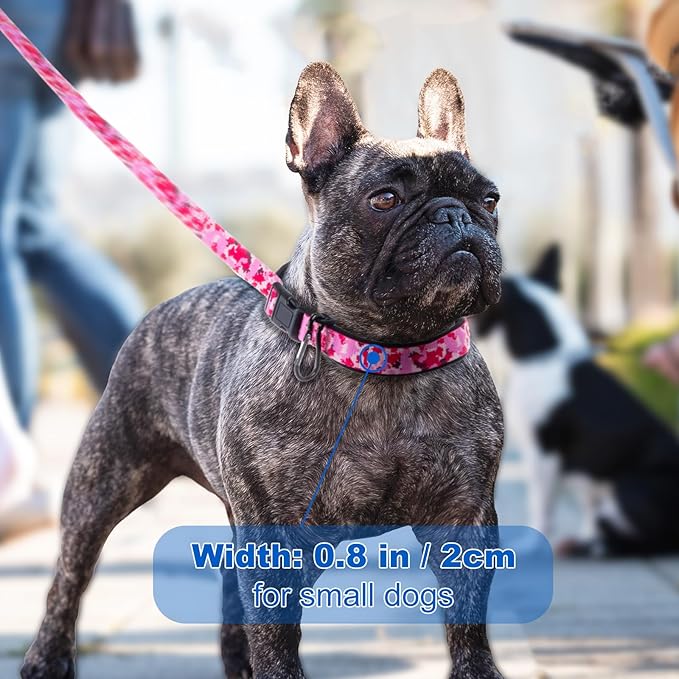 TSPRO Hands Free Dog Leash for Small Dogs, Adjustable Durable Leash with Comfortable Safety Padded Handle, Heavy Duty Metal Clasp for Walking, Running, Training (Camo Blue)