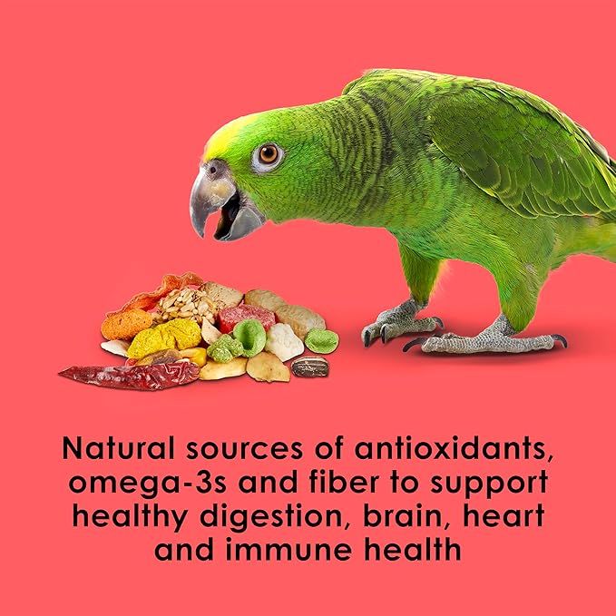 Kaytee Fiesta Parrot Food, Nutritious and Fun Blend, Supports Skin, Feather, Digestion, Brain and Heart Health, 4.5 pounds