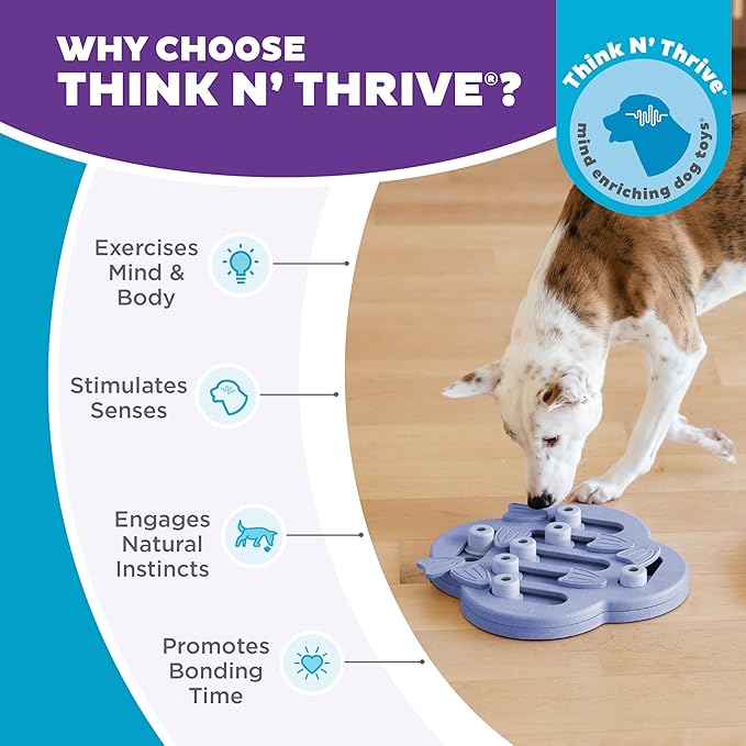 Outward Hound by Nina Ottosson Dog Hide N' Slide Treat Puzzle Enrichment Toy, Level 2 Intermediate, Purple, Composite