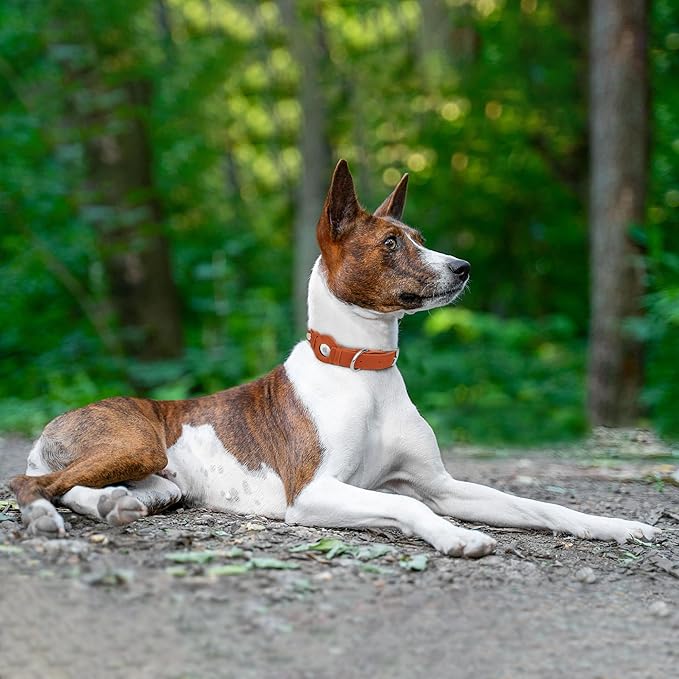 Leather Dog Collar with Airtag Holder - Apple AirTag Dog Collars - Soft Tracking Smart GPS Pet Collar for Small Medium Large Dogs Puppy (Brown, M, 12"-15" Neck Fit)